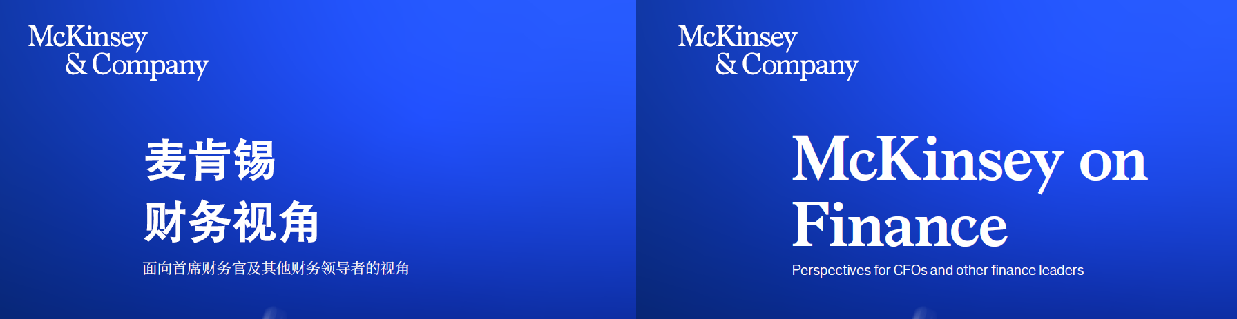 麦肯锡财务视角：25周年特刊 ( 